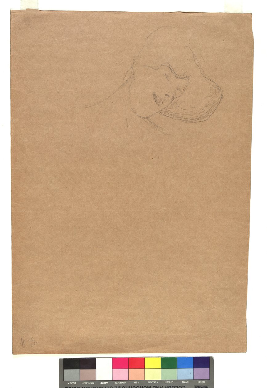 Studie eines weiblichen Kopfes af Gustav Klimt