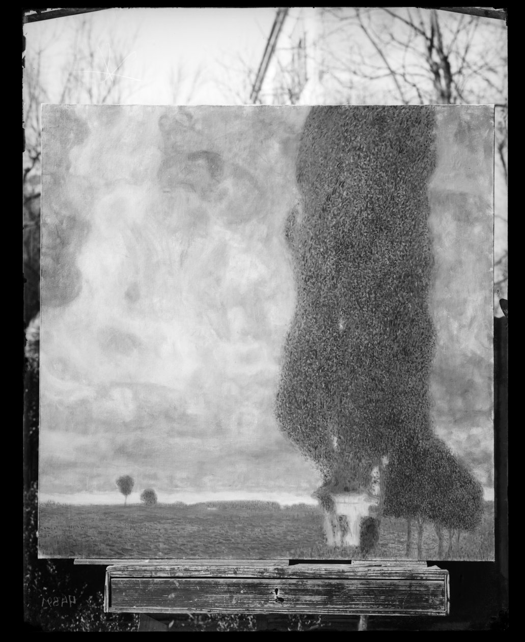 Køjen cottonwood II (opstigende storm) af Gustav Klimt