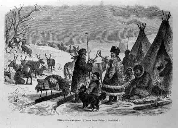 Samoyede Encampment, fra The History of Mankind af Prof. Friedrich Rayzel, pub. i 1904 af Gustav after Sundblad