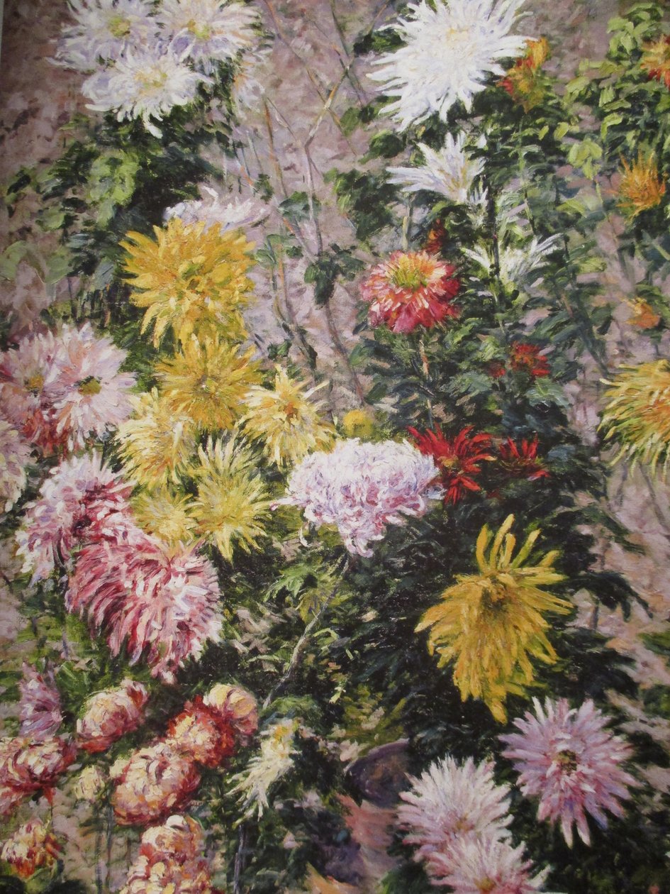Hvide og gule krysantemum af Gustave Caillebotte