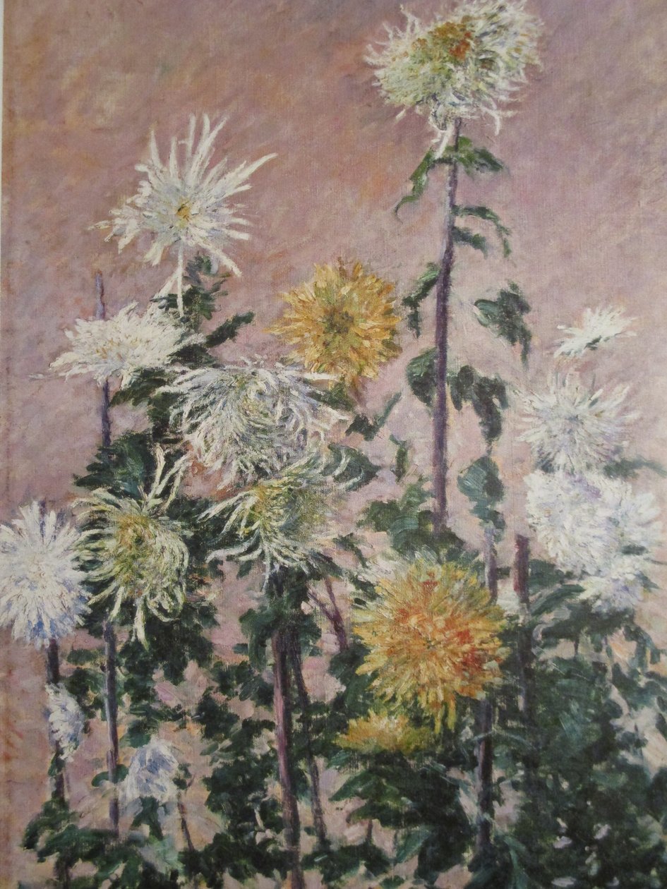 Hvide og gule krysantemum af Gustave Caillebotte