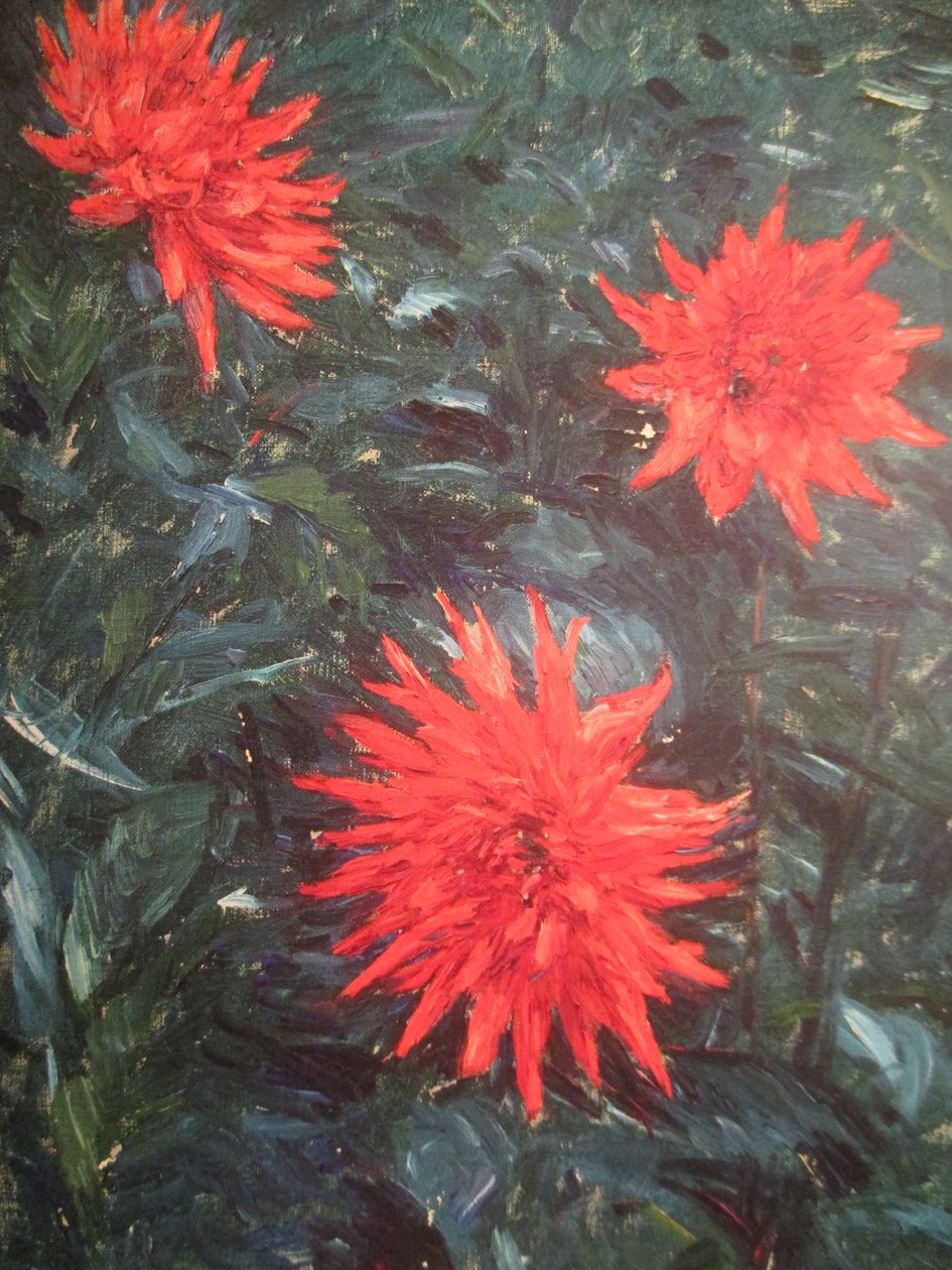 Rød kaktus georginer (1892) af Gustave Caillebotte