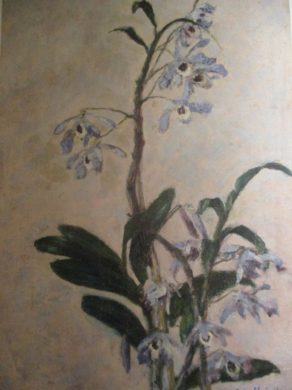 Orkideer af Gustave Caillebotte