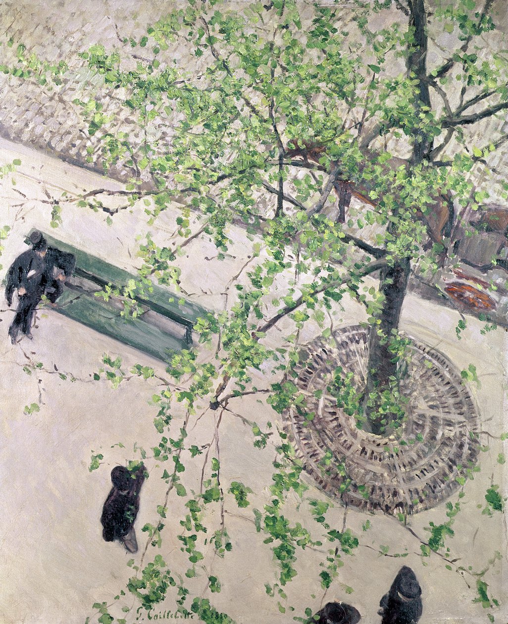 Boulevarden set fra oven, 1880 af Gustave Caillebotte