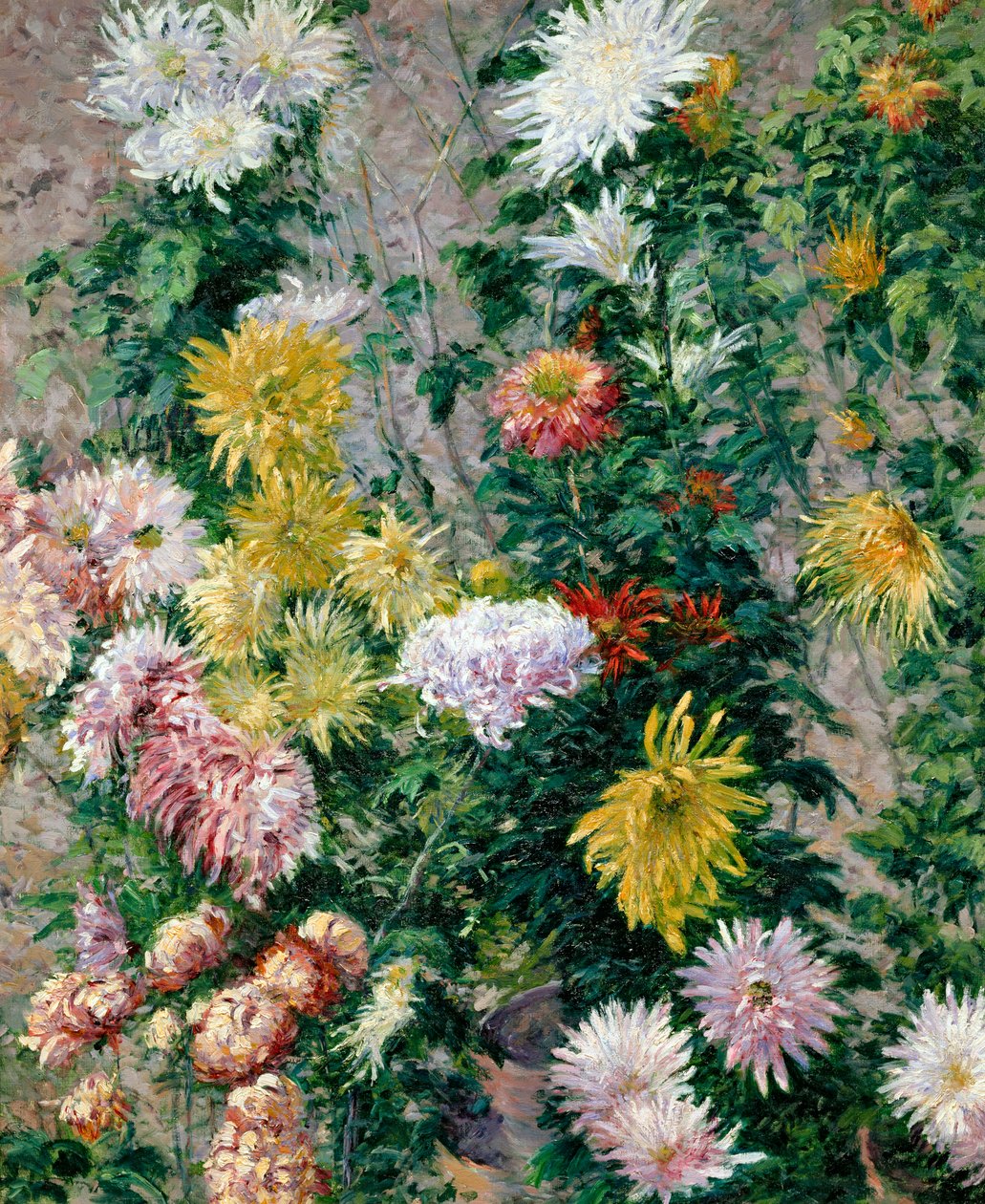 Hvide og gule krysantemum, 1893 af Gustave Caillebotte