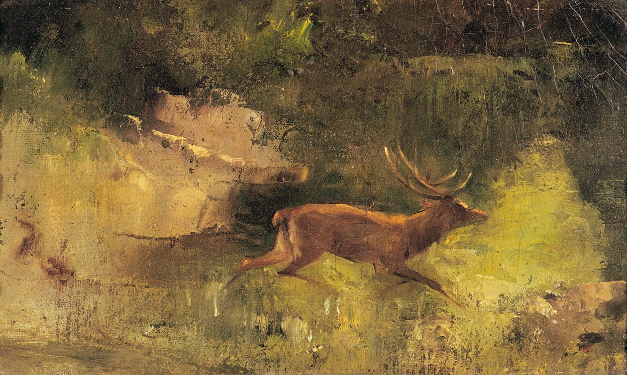 Hjort løber gennem en skov, ca. 1865 af Gustave Courbet