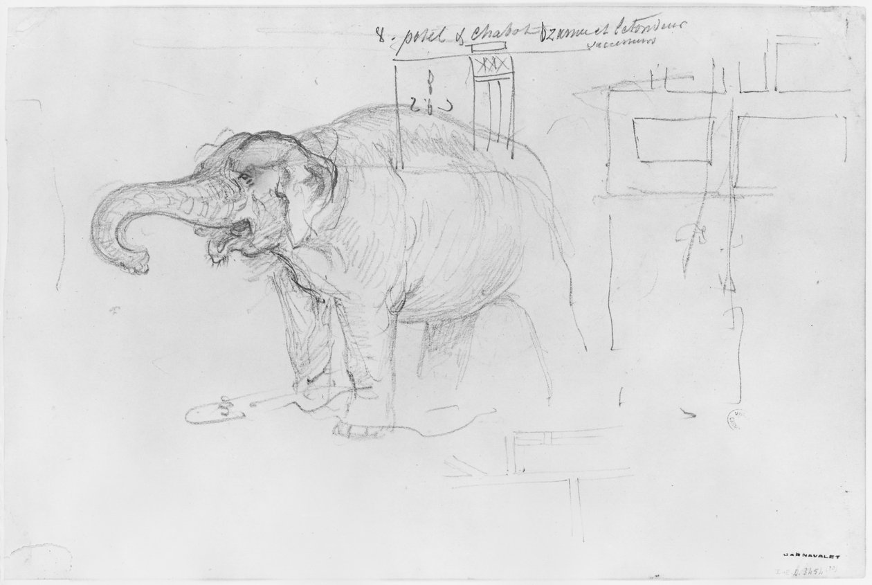 Album of the Siege of Paris, Elephant (pen og brun blækvask og blyant på papir) af Gustave Dore