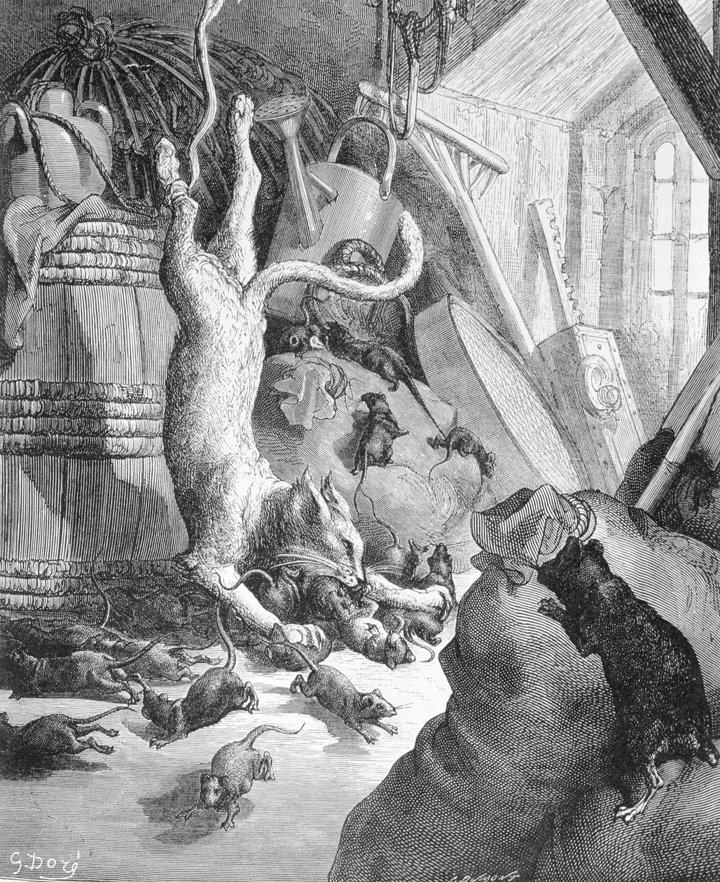 Katten og den gamle rotte, illustration fra 