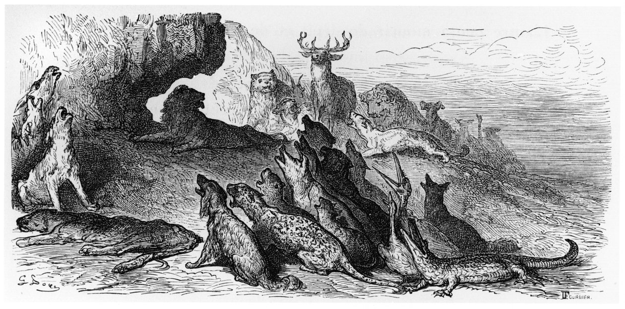 Løvindenes begravelse, illustration fra "Fabler" af Jean de La Fontaine (1621-95) Paris, udgivet i 1868, graveret af Fournier. af Gustave Dore