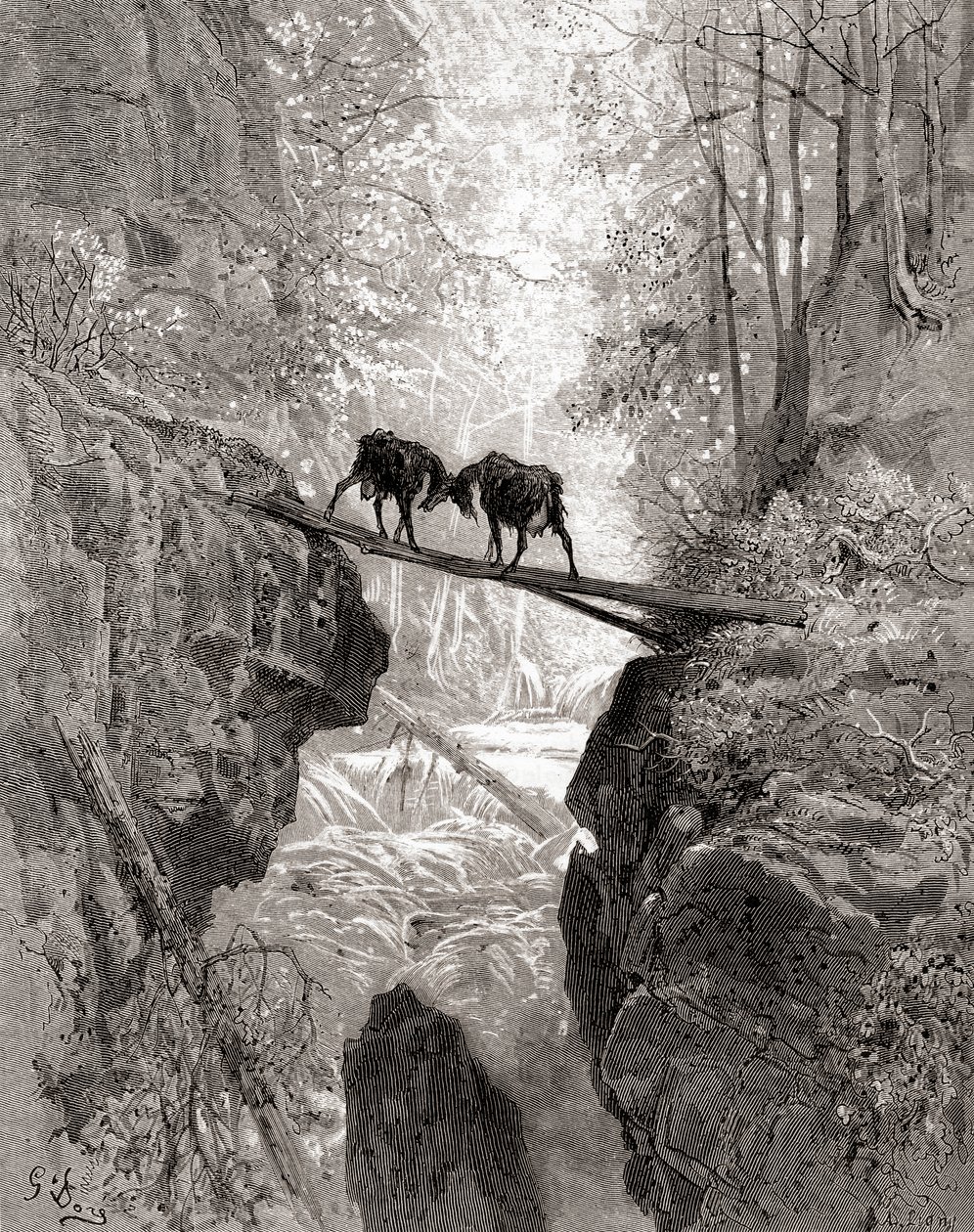 De to geder, fra en udgave af det sene 19. århundrede af Fables de La Fontaine (trægravering) af Gustave Dore