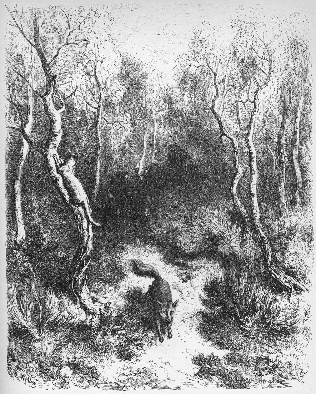 le chat et le fox - Ræven og katten - fra 