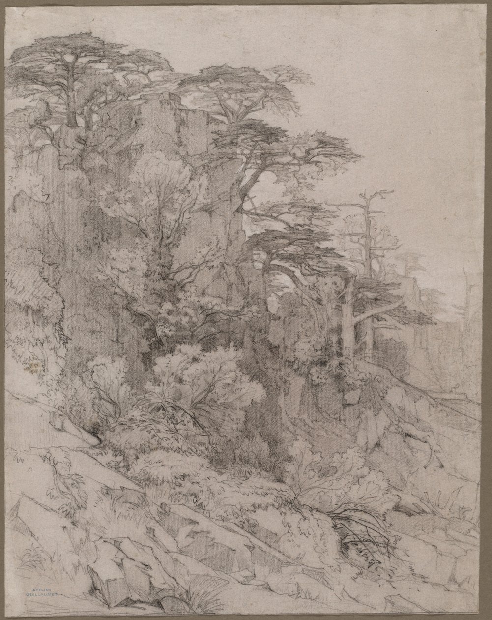 Træer i en klippeskråning, slutningen af 1800-tallet. af Gustave Achille Guillaumet