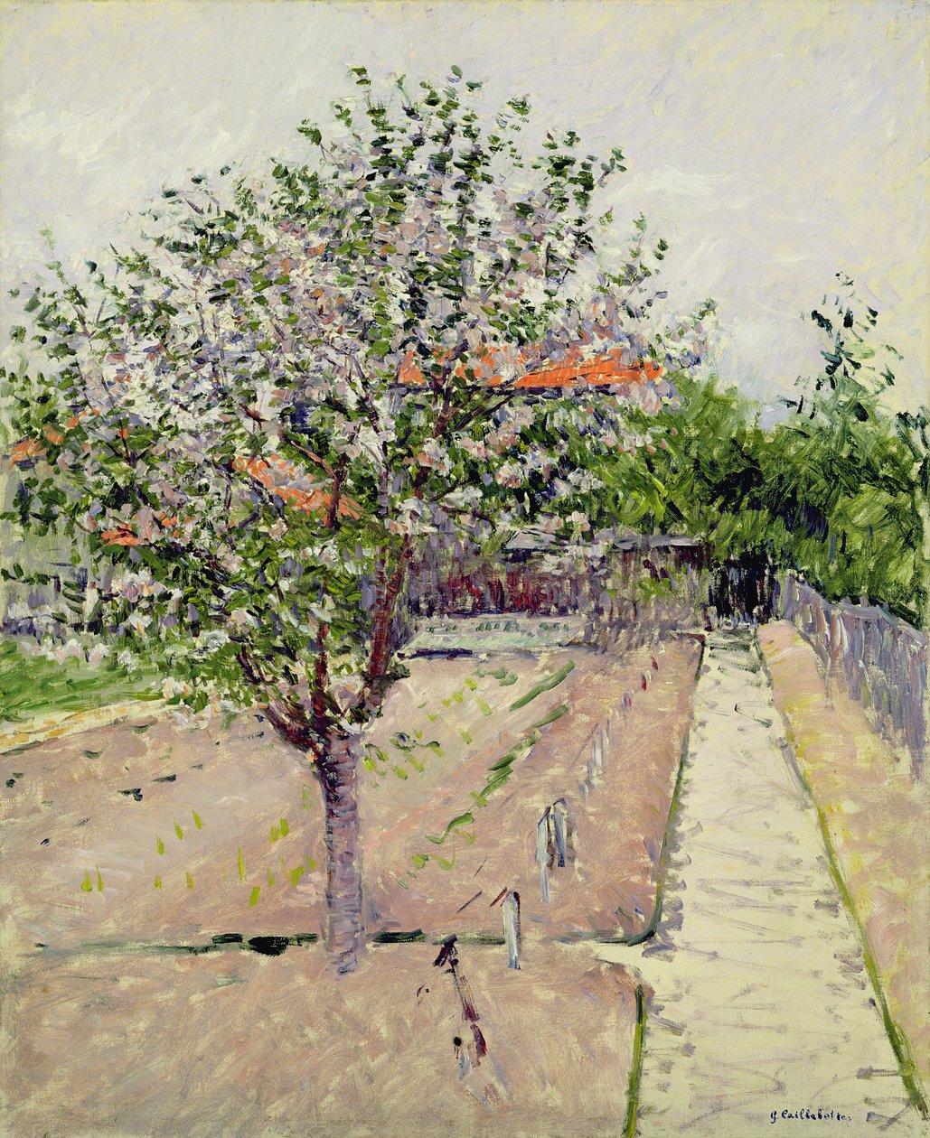 Æbletræ i blomst, ca. 1885 af Gustave Caillebotte