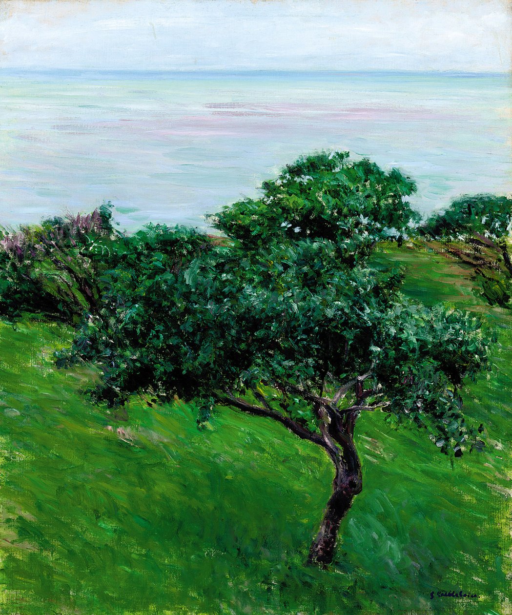 Æbletræer ved havet, Trouville, 1880 af Gustave Caillebotte