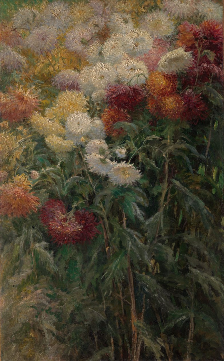 Krysantemum i haven ved Petit-Gennevilliers af Gustave Caillebotte