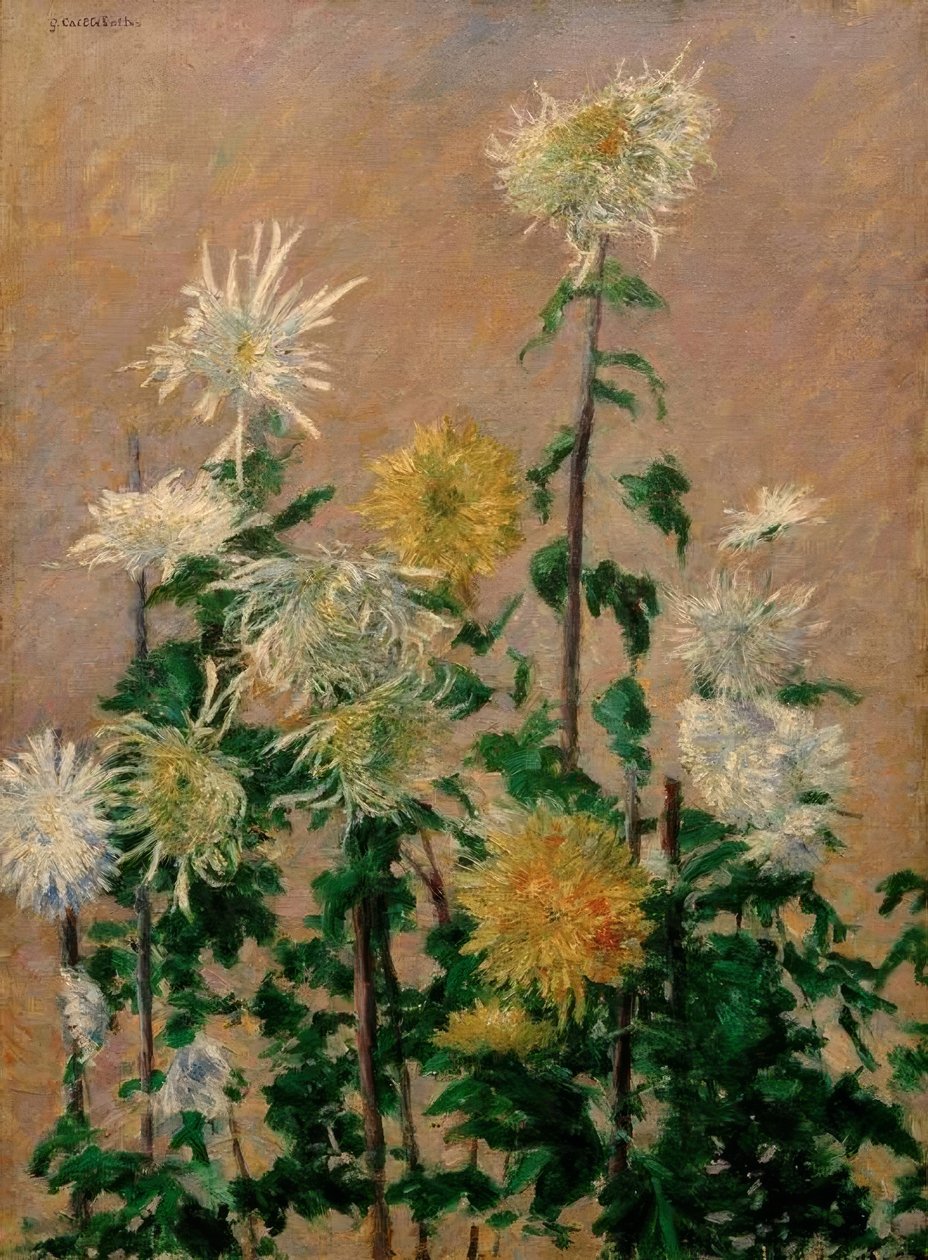 Hvide og gule krysantemum af Gustave Caillebotte