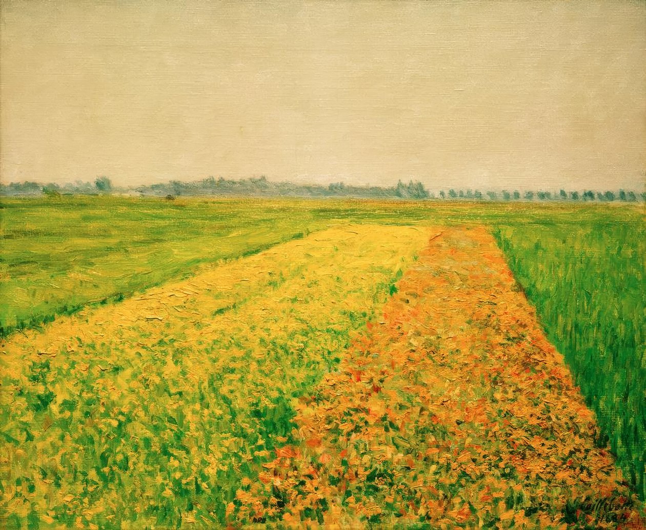 Sletten i Gennevilliers, gule marker af Gustave Caillebotte