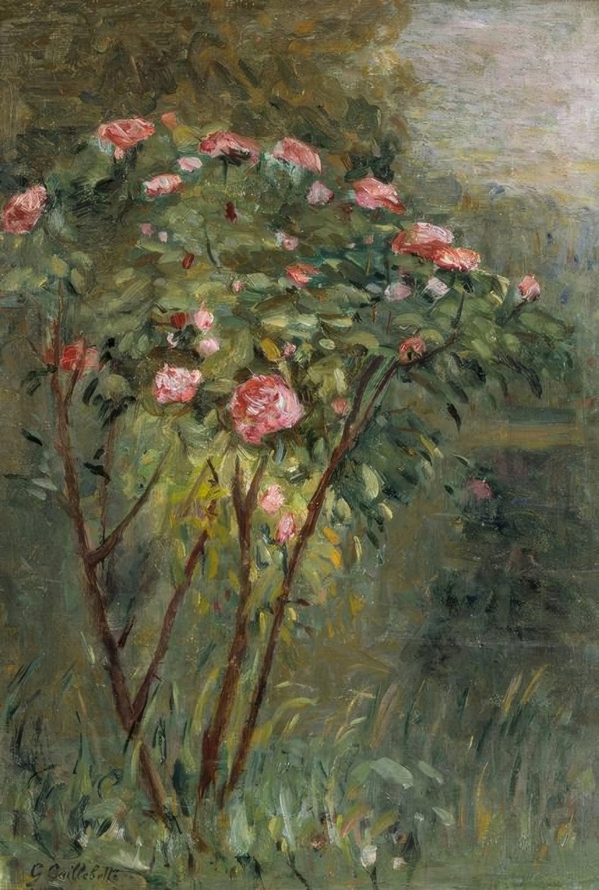 Rosenbusken af Gustave Caillebotte