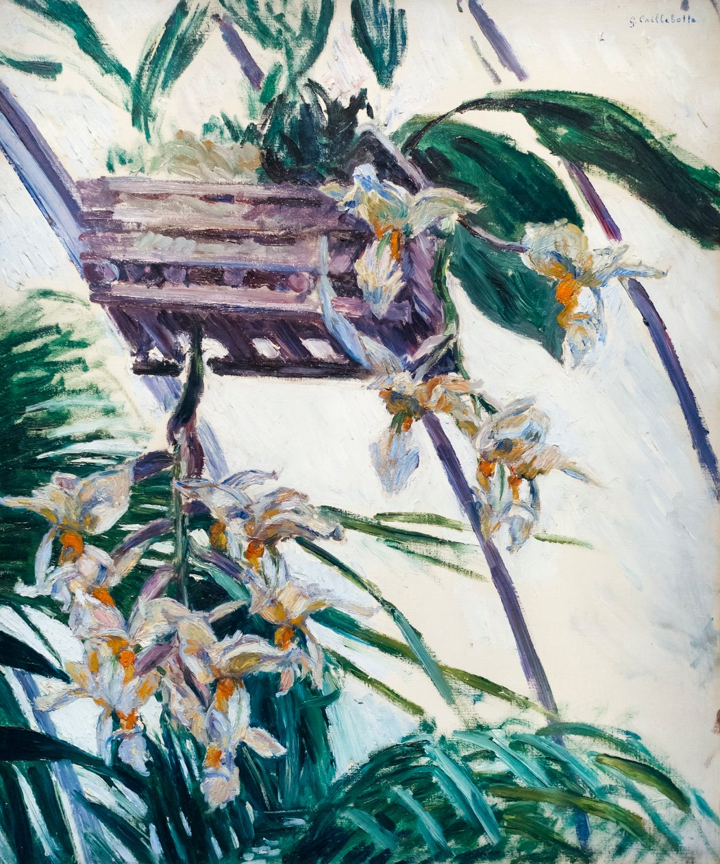 Orkideer, ca. 1893 (olie på lærred) af Gustave Caillebotte