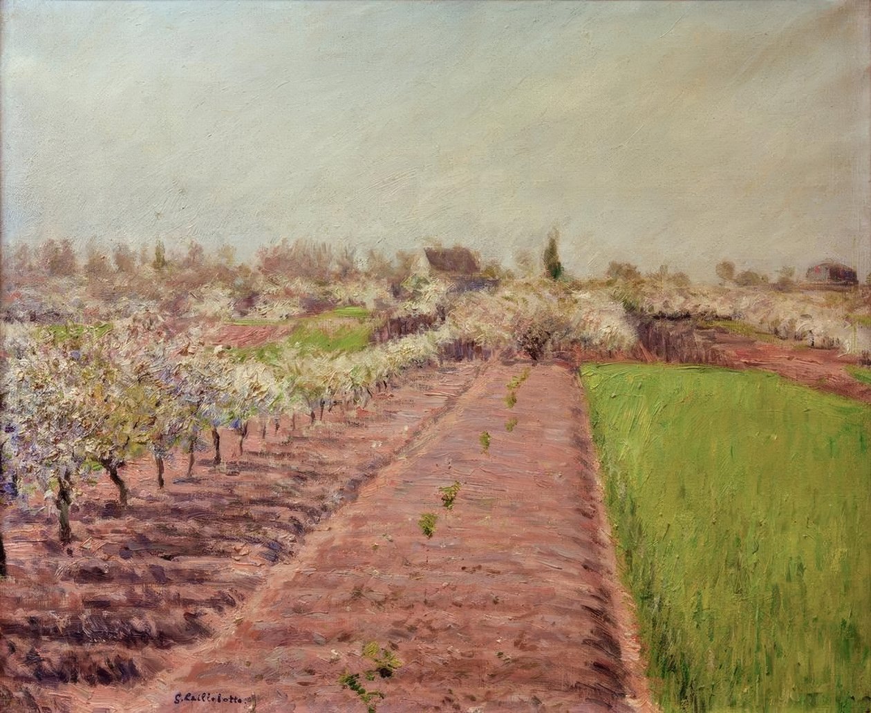Æbletræer i blomst, bjergskråning i Colombes af Gustave Caillebotte