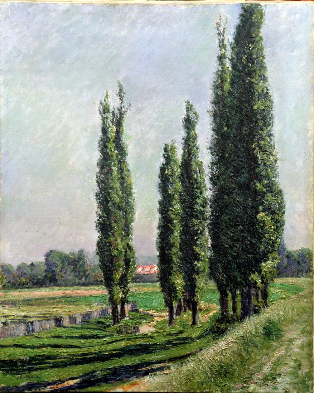 Popler på flodbredden ved Argenteuil (olie på lærred) af Gustave Caillebotte