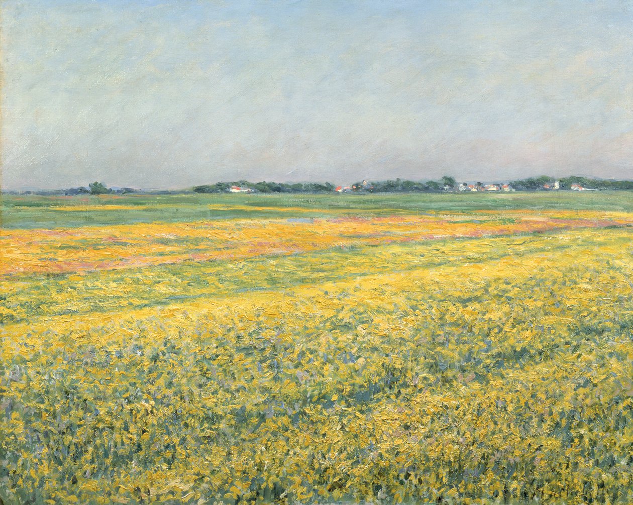 Sletten af Gennevilliers, gule marker; La plaine de Gennevilliers, champs jaunes, 1884 af Gustave Caillebotte