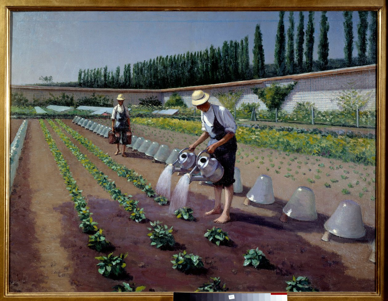 Gartnerne. To mænd med deres vandkander vander deres plantage. I nærheden af dem brugte glasklokker til at dække afgrøder. Maleri af Gustave Caillebotte (1848-1894) af Gustave Caillebotte