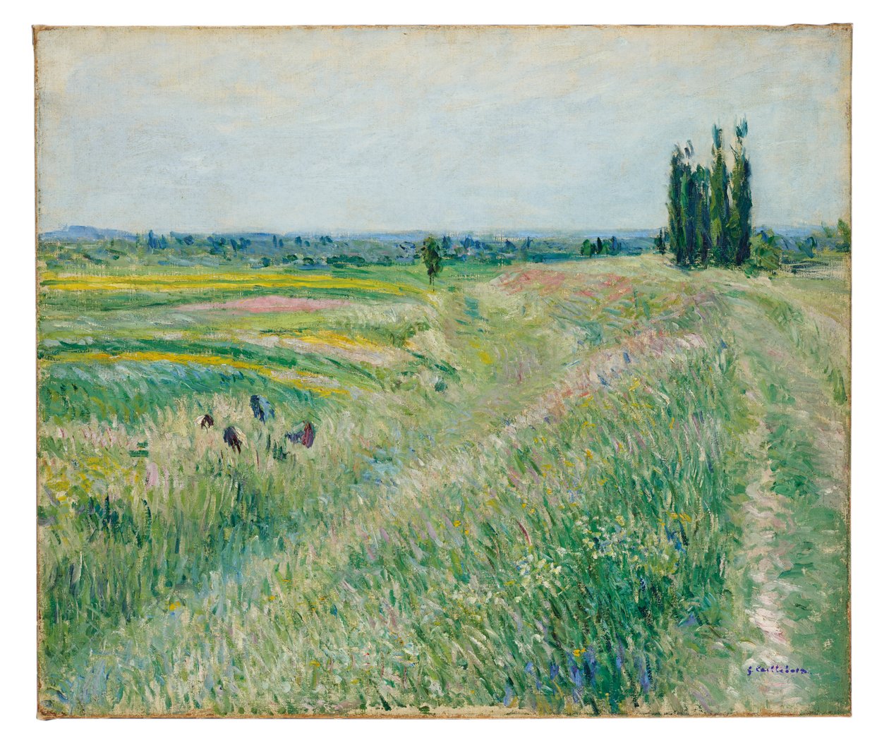 Sletten ved Gennevilliers, gruppe af popler, ca. 1883 (olie på lærred) af Gustave Caillebotte