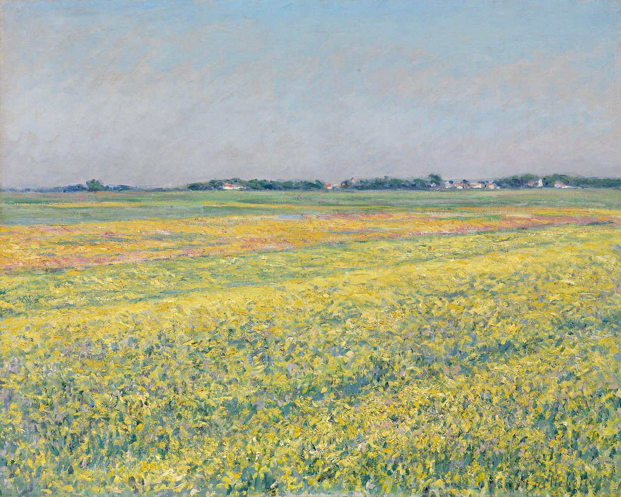 Gennevilliers-sletten, gule marker af Gustave Caillebotte