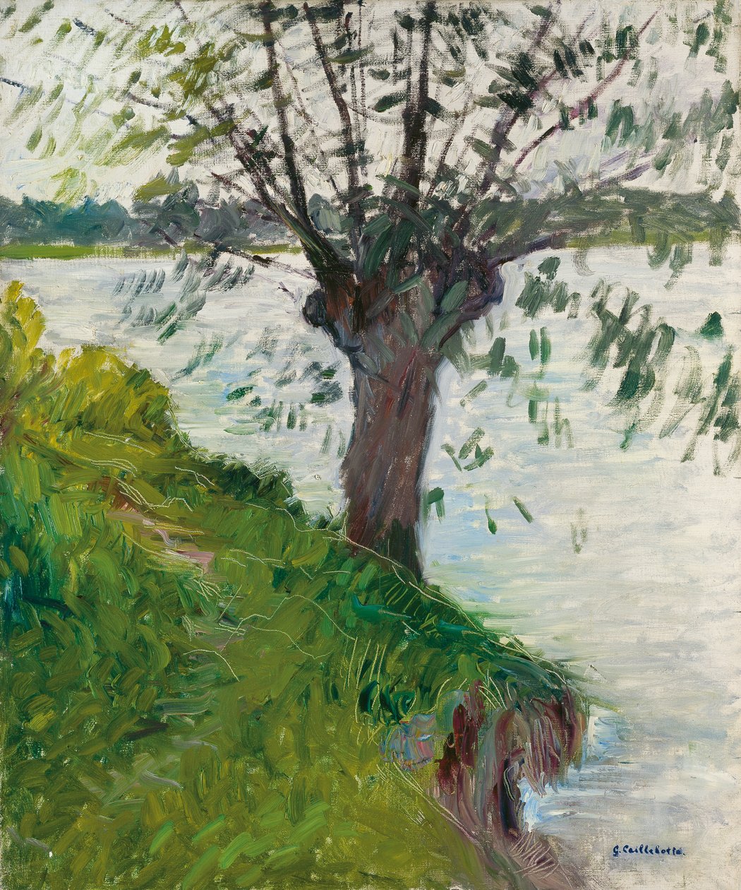 Pil ved Floden; Saule au bord de la riviere, ca. 1891 af Gustave Caillebotte