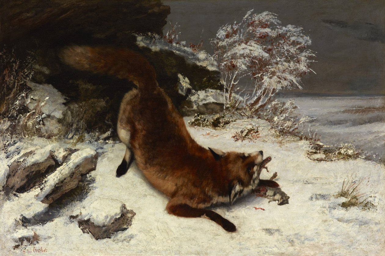 Ræv i sneen af Gustave Courbet