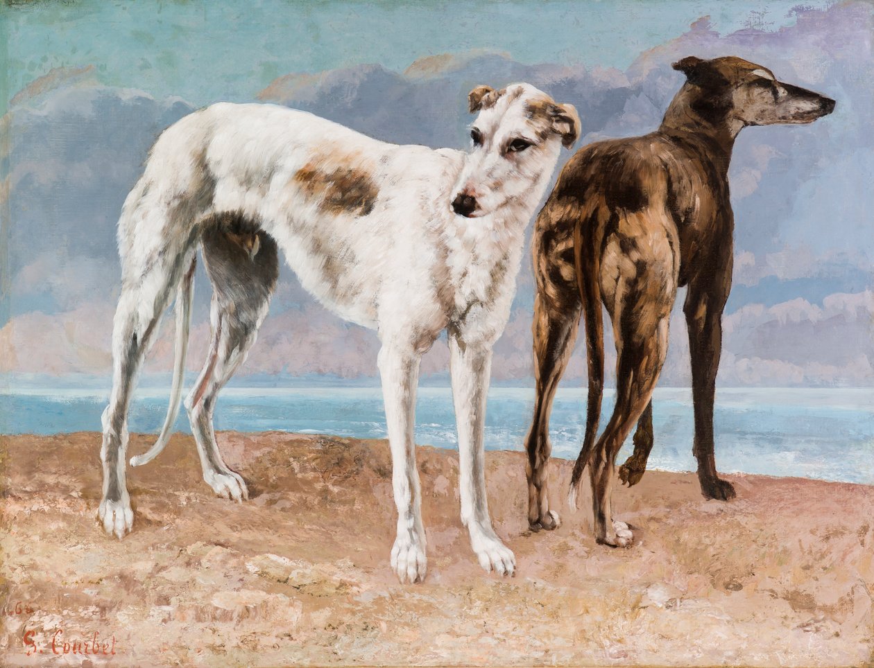 Greyhounds af Comte de Choiseul af Gustave Courbet
