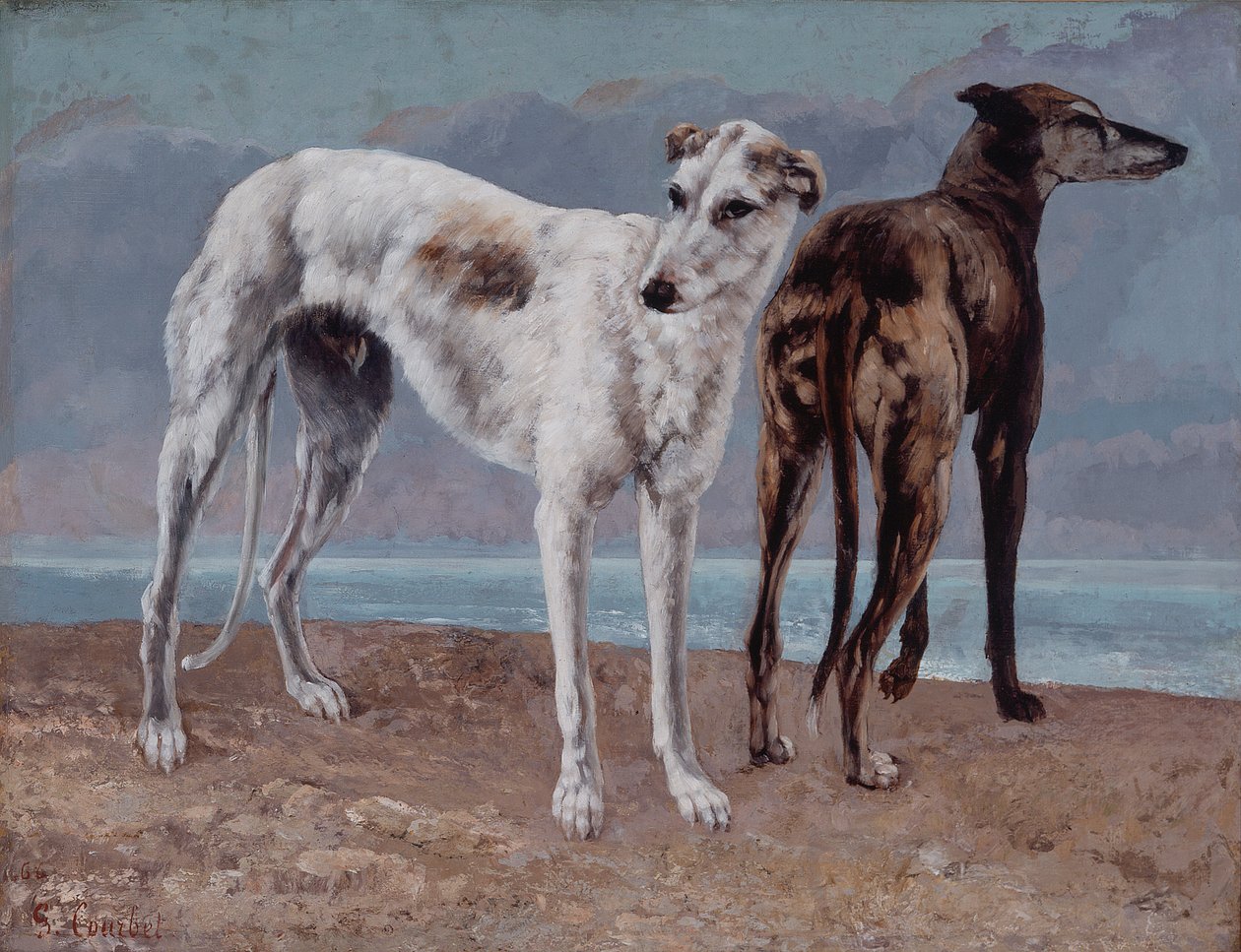 Greven af Choiseuls greyhounds af Gustave Courbet