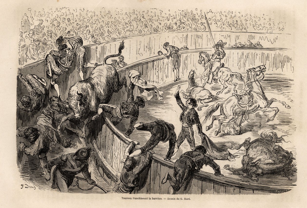 En tyr, der krydser barrieren, under en tyrefægtning i Valencia, tegning af Gustave Dore (1832-1883), for at illustrere hans rejse til Spanien, med C. Davillier, i 1862. Indgravering i "" Le tour du monde "", redigeret af Edouard Charton af Gustave Dore