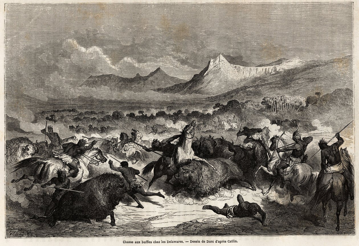 Bøffeljagt blandt Delawares, indianere, der bor ved bredden af floden af samme navn, tegning af Gustave dore (1832-1883), for at illustrere Mississippis rejse til Stillehavet i 1853-54 af Baudouin Mollhausen (1825- 1905). Engravi af Gustave Dore