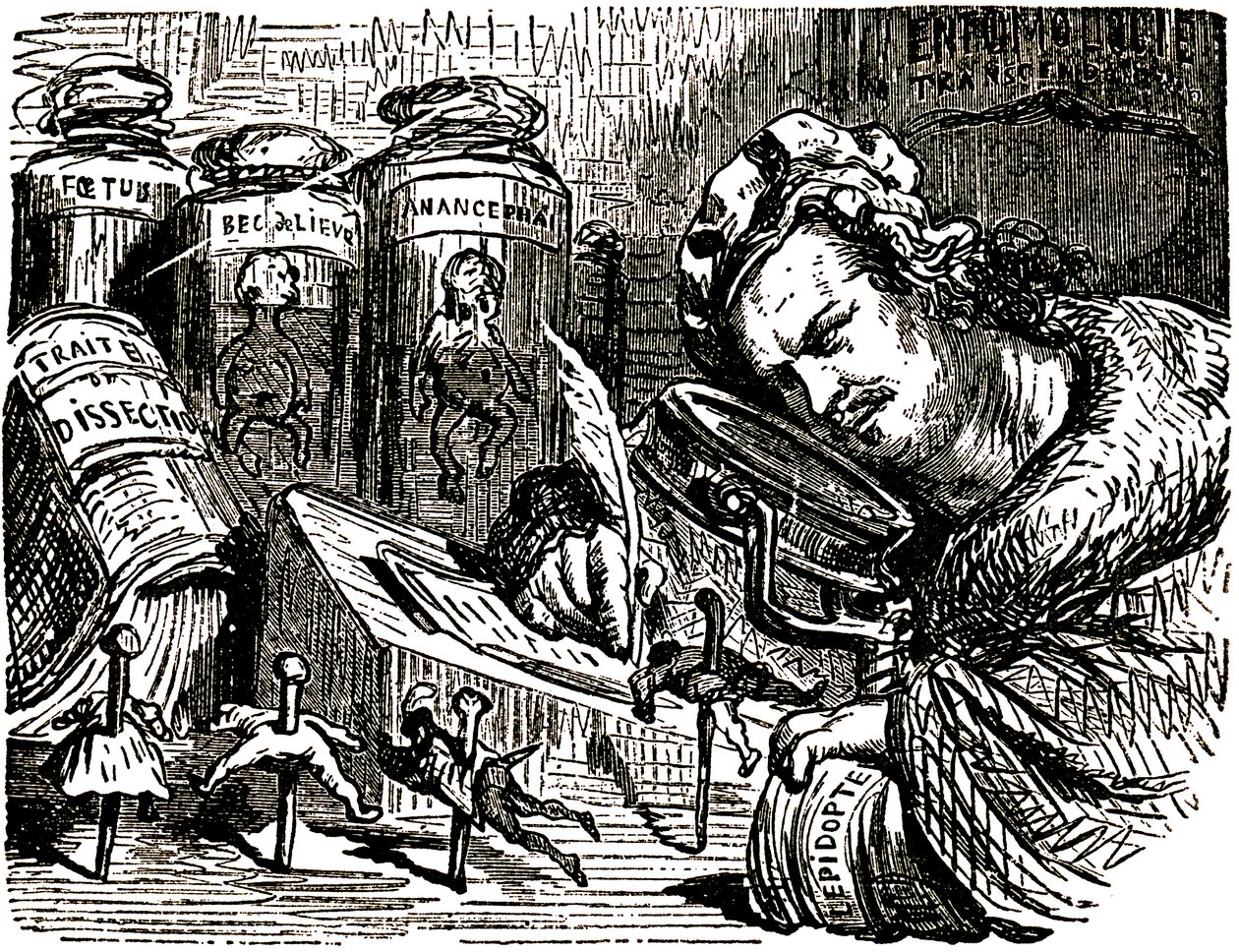 Tegneserie af Honore de Balzac (1799-1850) af Gustave Dore (1832-1883) til Tales Drolatiques (1855): Forfatteren er croqué som en enthomolog, der studerer mennesker som insekter i sit skab fyldt med enthomologi- og dissektionsudkast samt krukker med af Gustave Dore