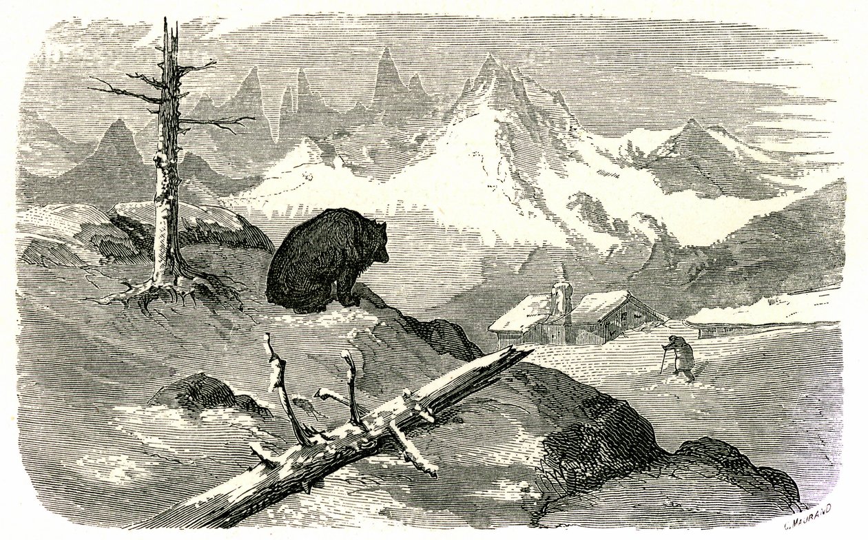Kobberstik af Gustave Dore til bogen "Voyage aux Pyrenees d