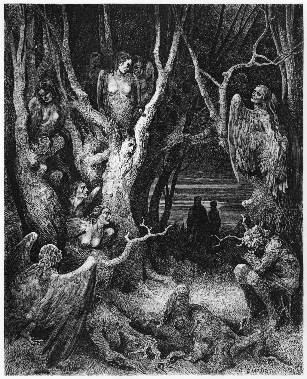 Harpies, illustration fra 