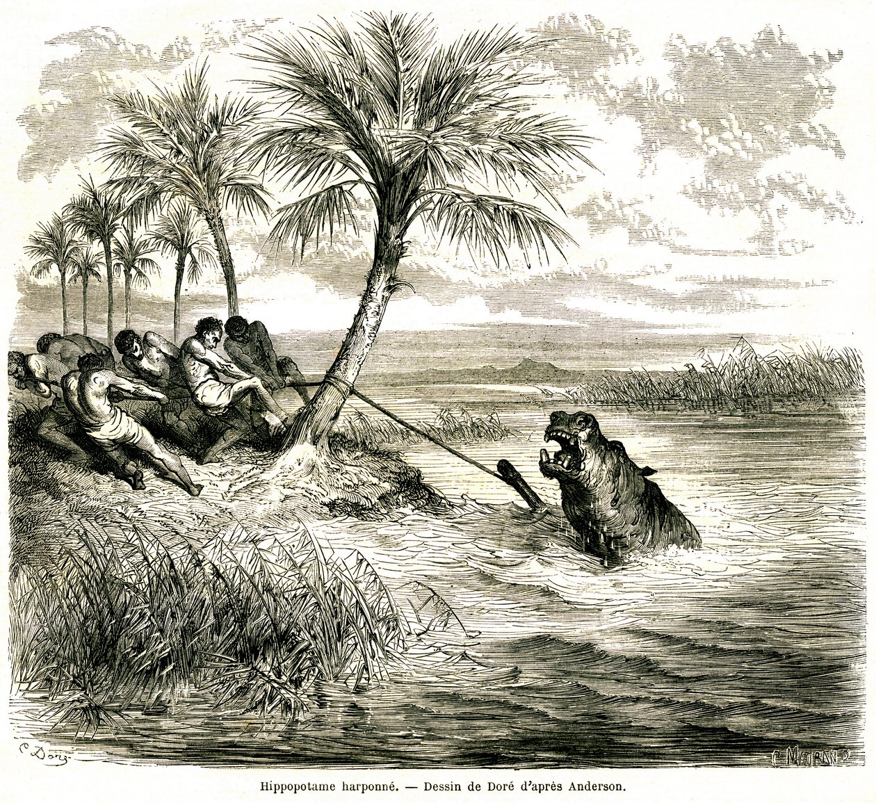 Jagt på Teoghe-floden, en biflod til Ngami. Flodhesteharpun. Kobberstik af Gustave Dore, der illustrerer "les aventures et chasse du voyageur Charles-Jean Anderson dans l