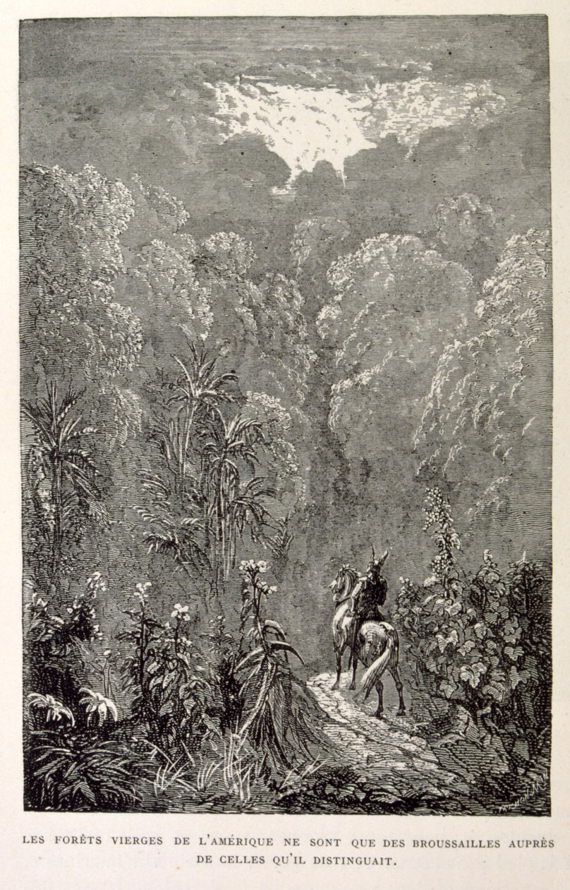Illustration af amerikansk skov. fra La legende de Croque-Mitaine. af Gustave Dore