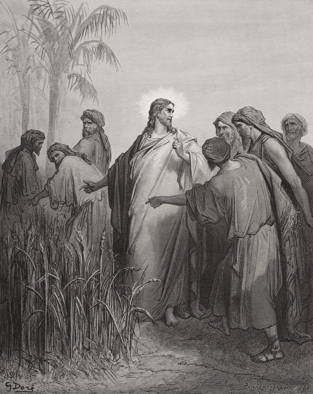 Jesus og hans disciple i kornmarken, illustration fra Dores 