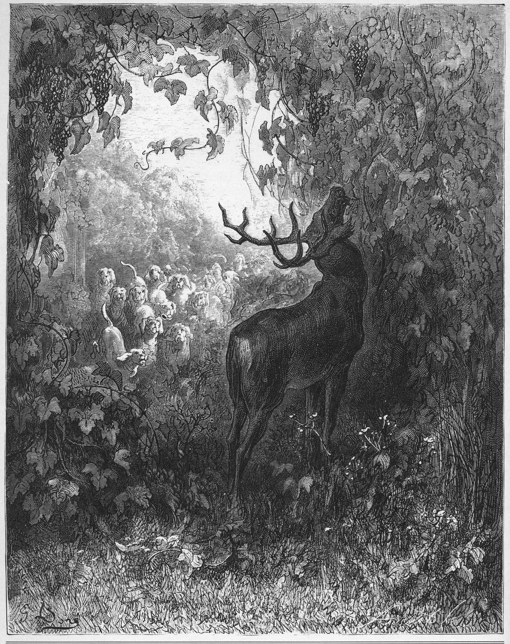 THE DEER AND THE VINE - The deer and the vine - fra "Fables" af Jean de La Fontaine af Gustave Dore