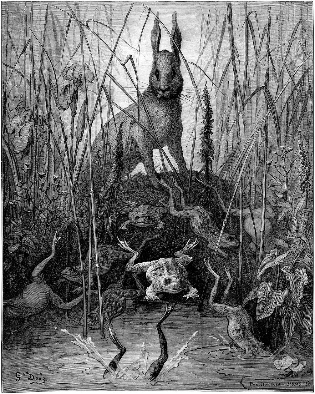 Le hare et les frogs: fabel af Jean de la Fontaine illustreret af Gustave Dore - Haren og frøerne. af Gustave Dore