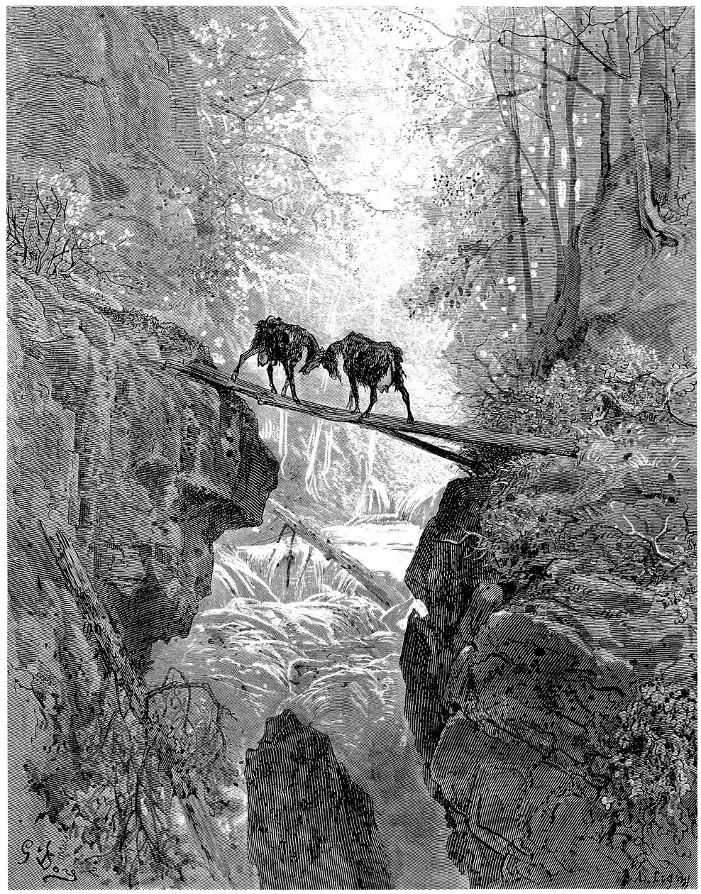 Les deux chevres: fabel af Jean de la Fontaine illustreret af Gustave Dore - skov, bæk, bæk - af Gustave Dore