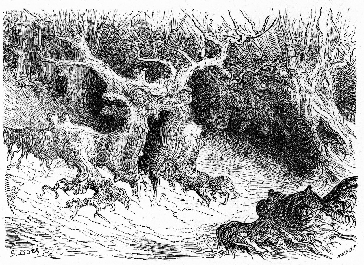Monstrøs bøg i Ossau-dalen, antropomorfe monstertræer. Kobberstik af Gustave Dore, der illustrerer bogen "Voyage aux Pyrénées d