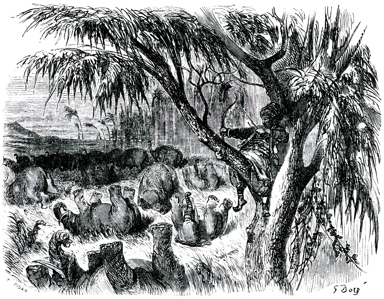 Sømanden Sindbad (Sinbad) - fortællingen om de tusind og en (1001) nat - illustration af Gustave Dore - udgave Maxwell 1865 - Syvende rejse: Sindbad sidder i et træ og trækker med sin bue i elefanter. af Gustave Dore