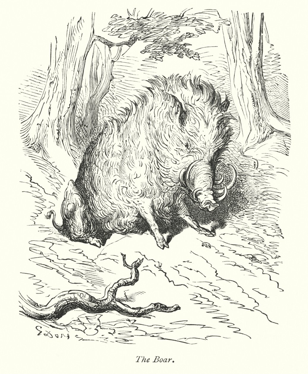 Vildsvinet (kobberstik) af Gustave Dore