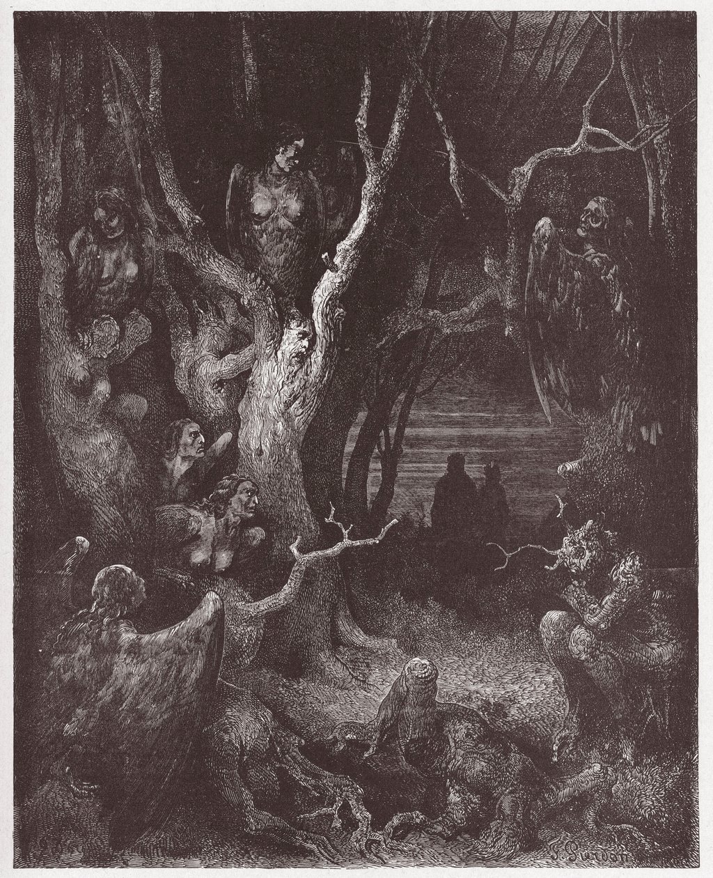Den guddommelige komedie (La Divina Commedia, La Divine Comedie), Inferno, Canto 13: Harpierne i selvmordsskoven - af Dante Alighieri (1265-1321) - Illustration af Gustave Dore (1832-1883) af Gustave Dore