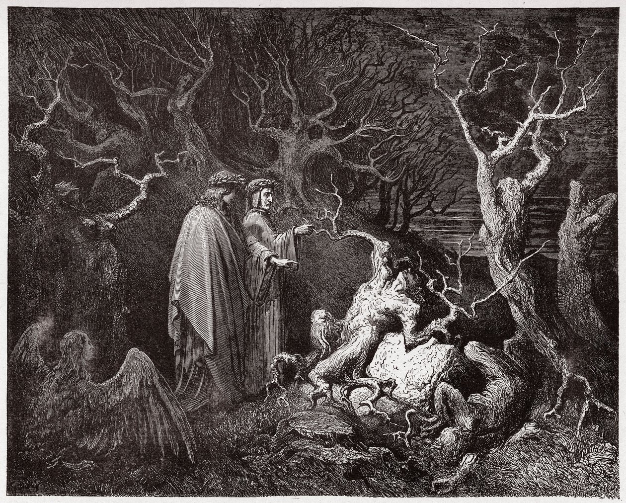 Den guddommelige komedie (La Divina Commedia, La Divine Comedie), Inferno, Canto 13: Selvmordene i skoven - af Dante Alighieri (1265-1321) - Illustration af Gustave Dore (1832-1883) af Gustave Dore