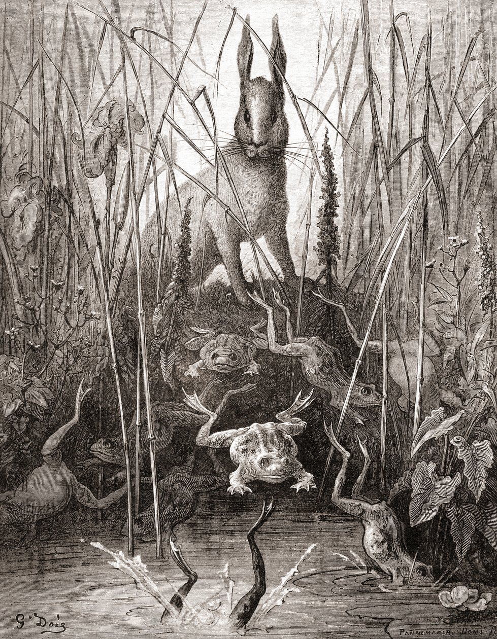 Haren og frøerne, fra en udgave af det sene 19. århundrede af Fables de La Fontaine (trægravering) af Gustave Dore